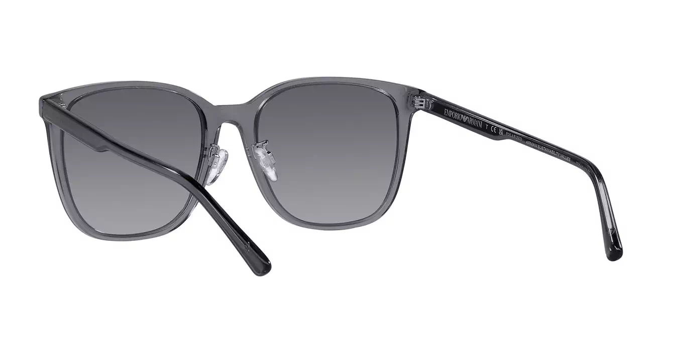 Emporio Armani EA4206D 5029/T3 s57
