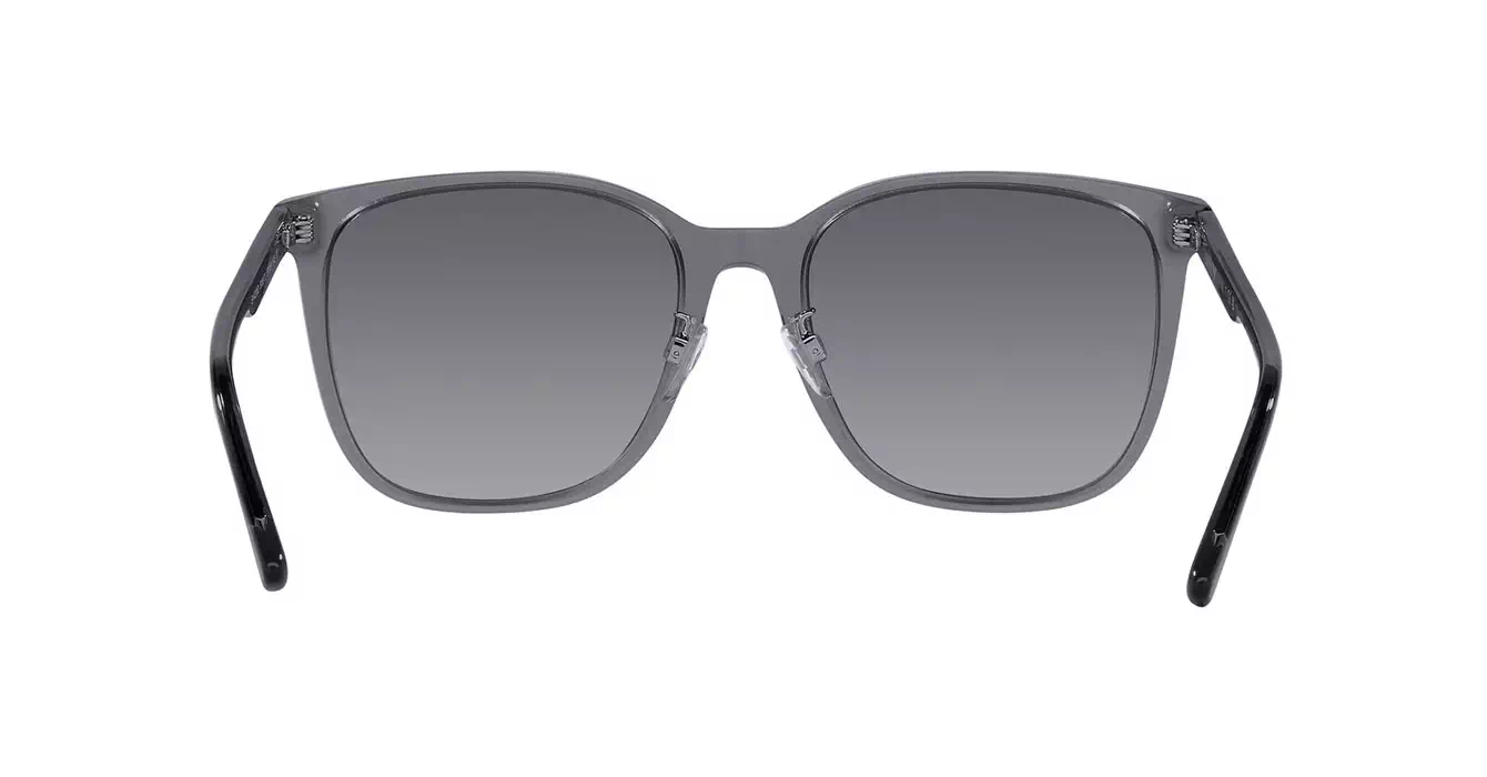 Emporio Armani EA4206D 5029/T3 s57