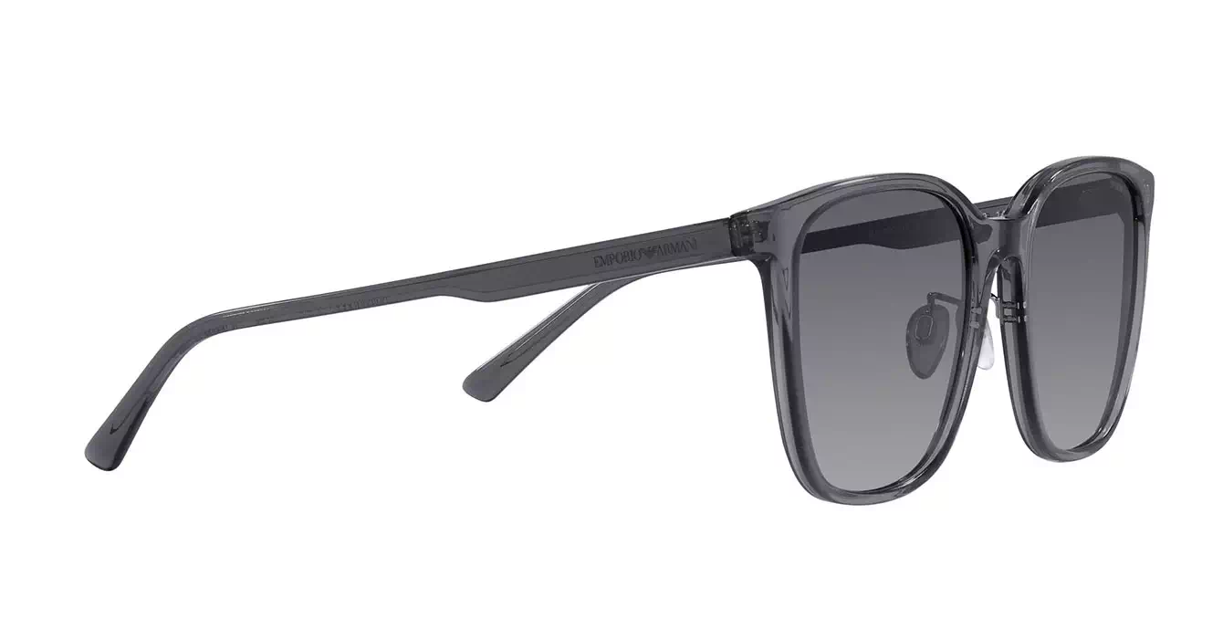 Emporio Armani EA4206D 5029/T3 s57