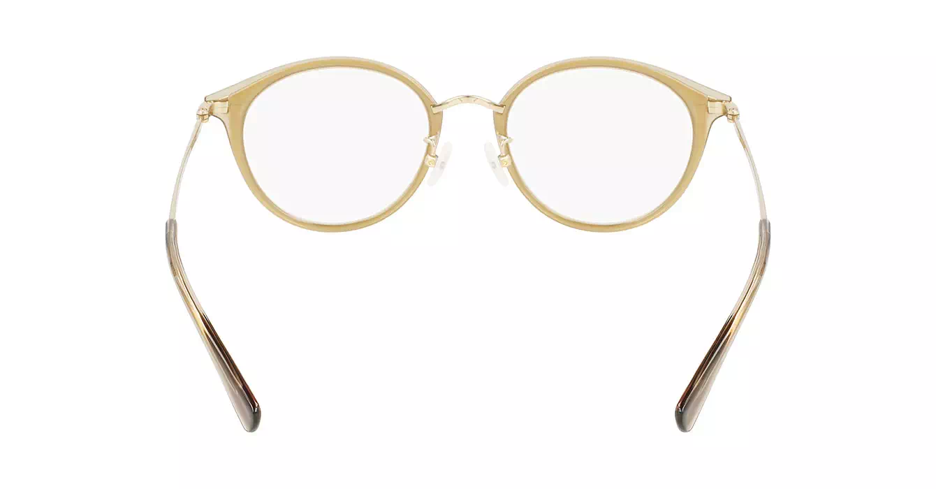 Longchamp LO2528LBJ 250 s49
