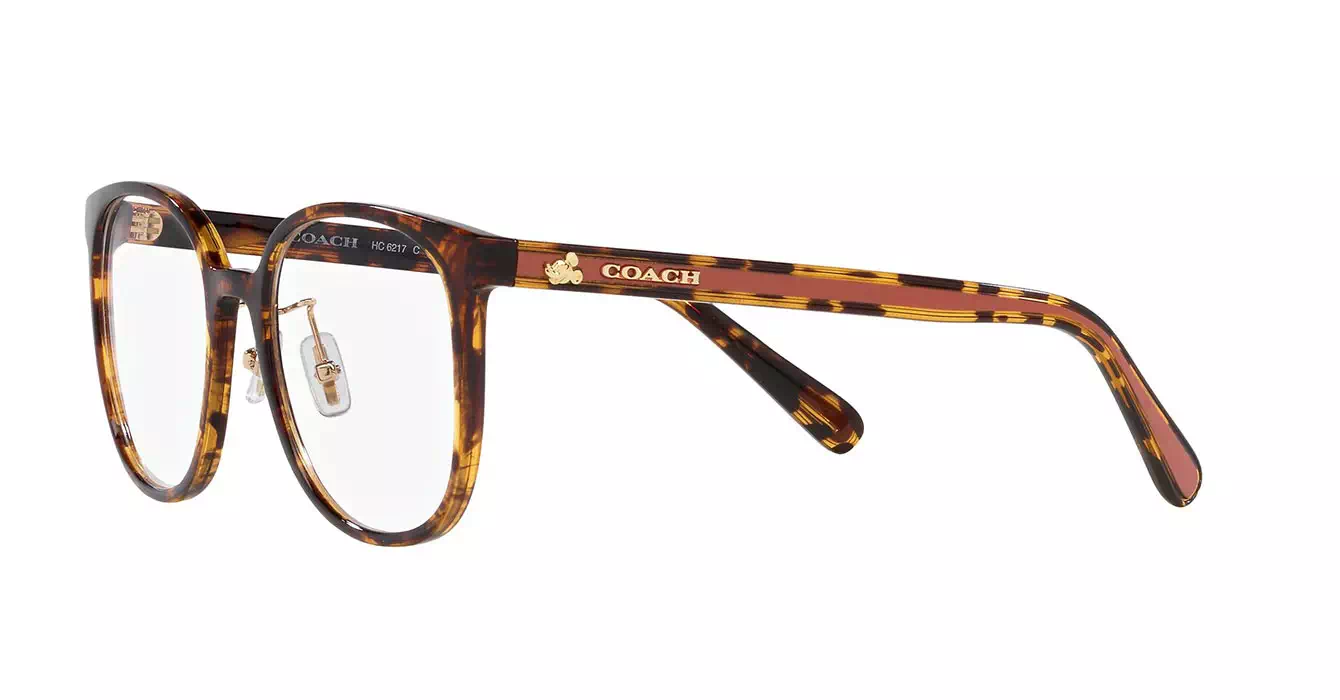 Coach HC6217 5120 s53