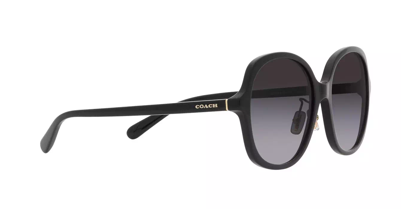 Coach HC8360F 5002/8G s58