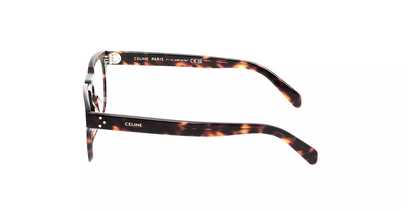 Celine CL50118I 052 s48