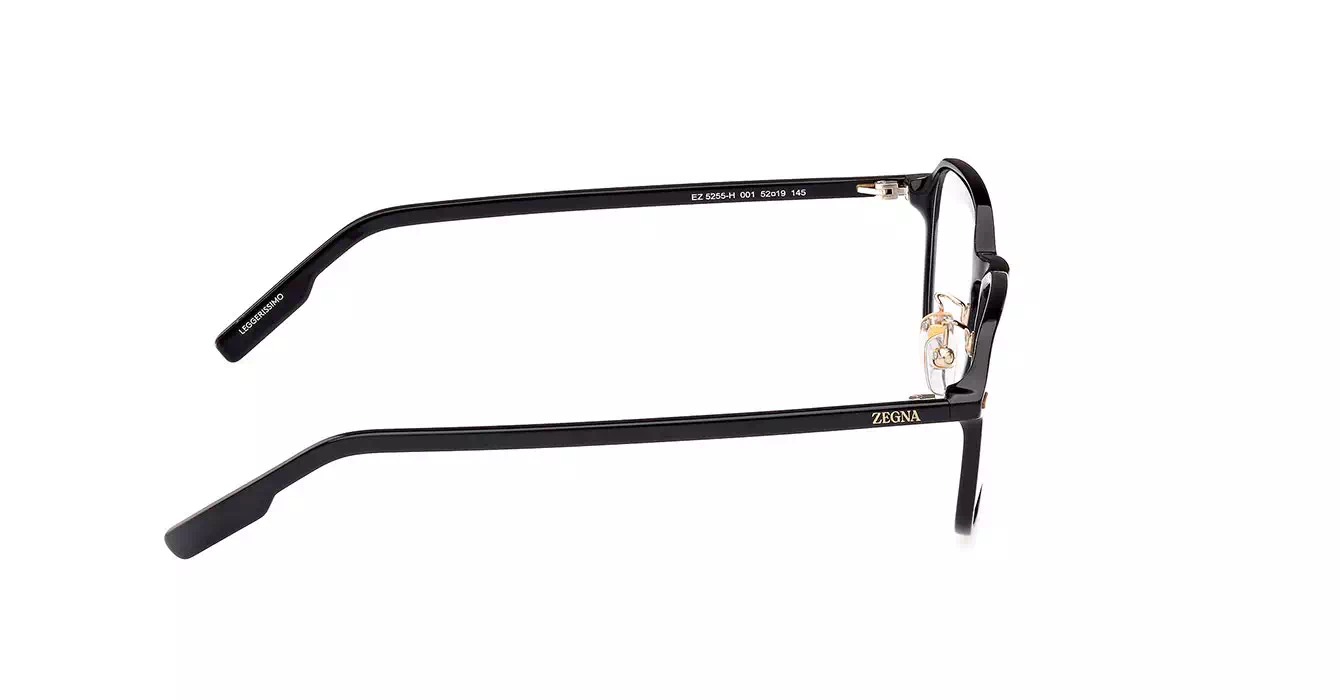 Ermenegildo Zegna EZ5255-H 001 s52