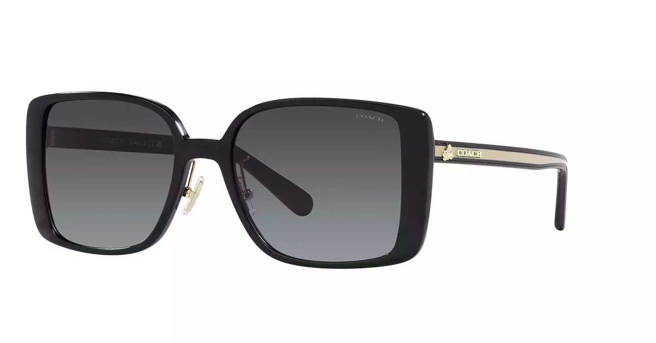 Coach HC8375 5002/8G s56
