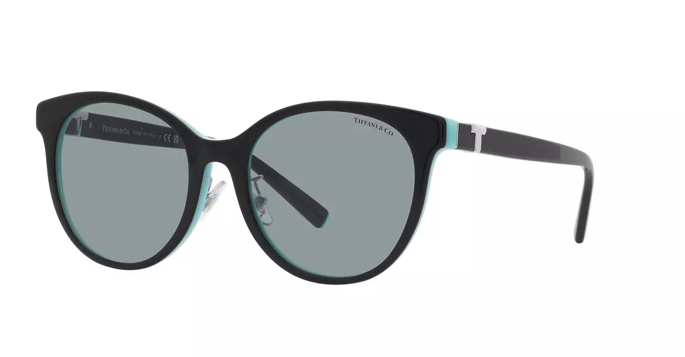 Tiffany&co TF4209-D 8055/1 s54