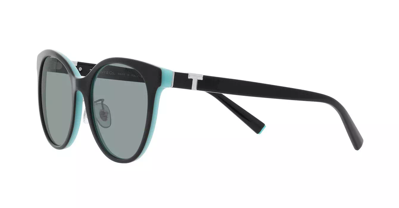 Tiffany&co TF4209-D 8055/1 s54