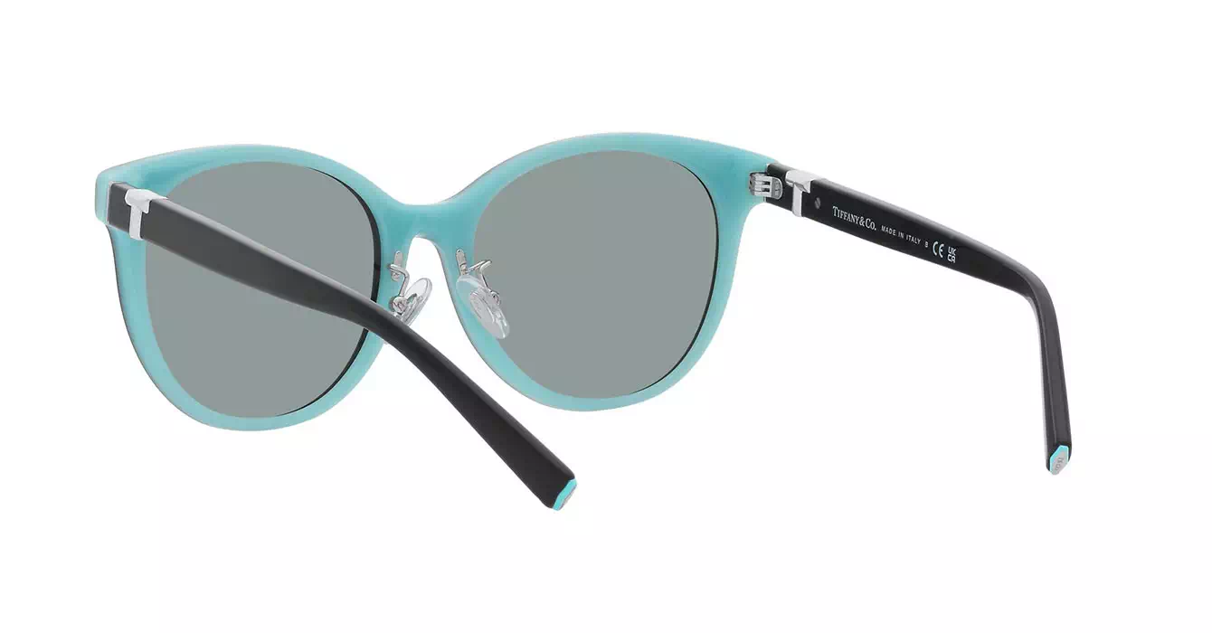 Tiffany&co TF4209-D 8055/1 s54