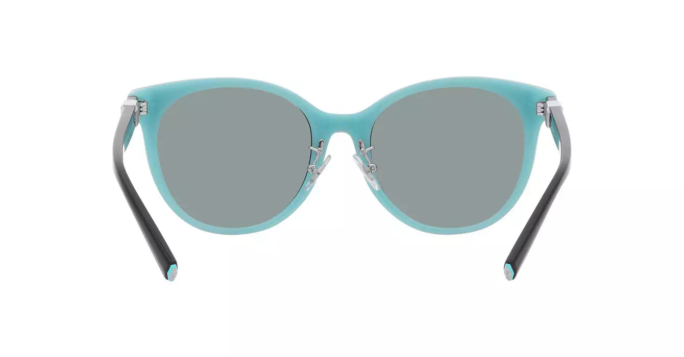 Tiffany&co TF4209-D 8055/1 s54