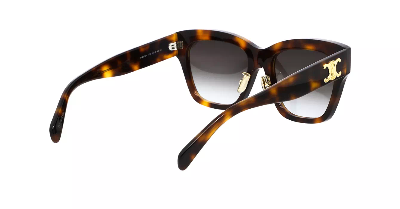 Celine CL40253F 53K s55