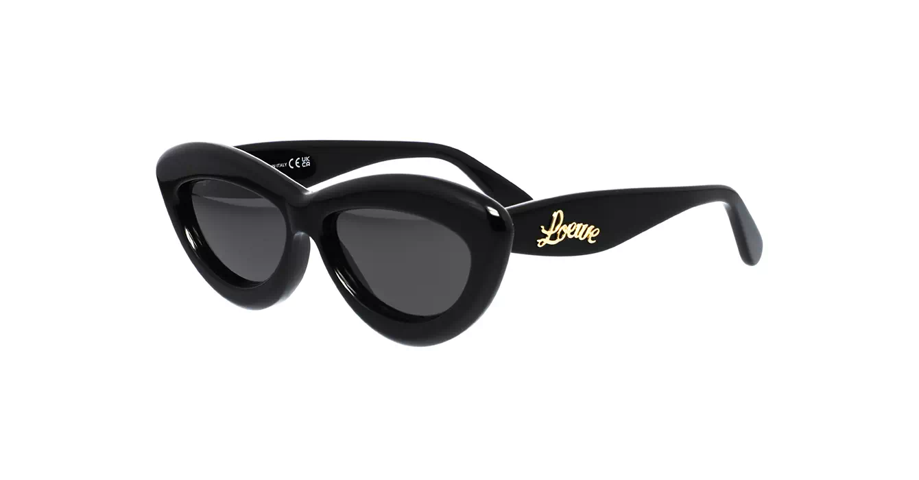 Loewe LW40096I 01A s54