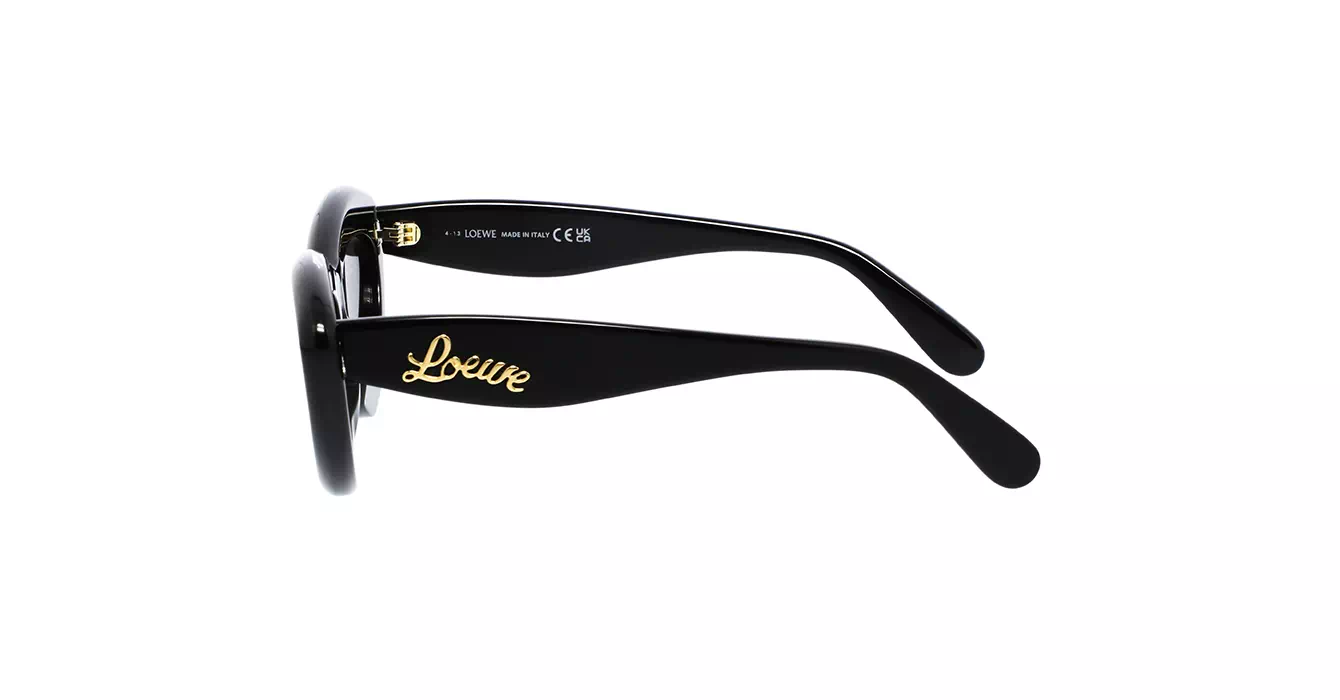 Loewe LW40096I 01A s54