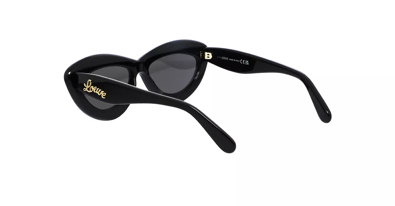 Loewe LW40096I 01A s54