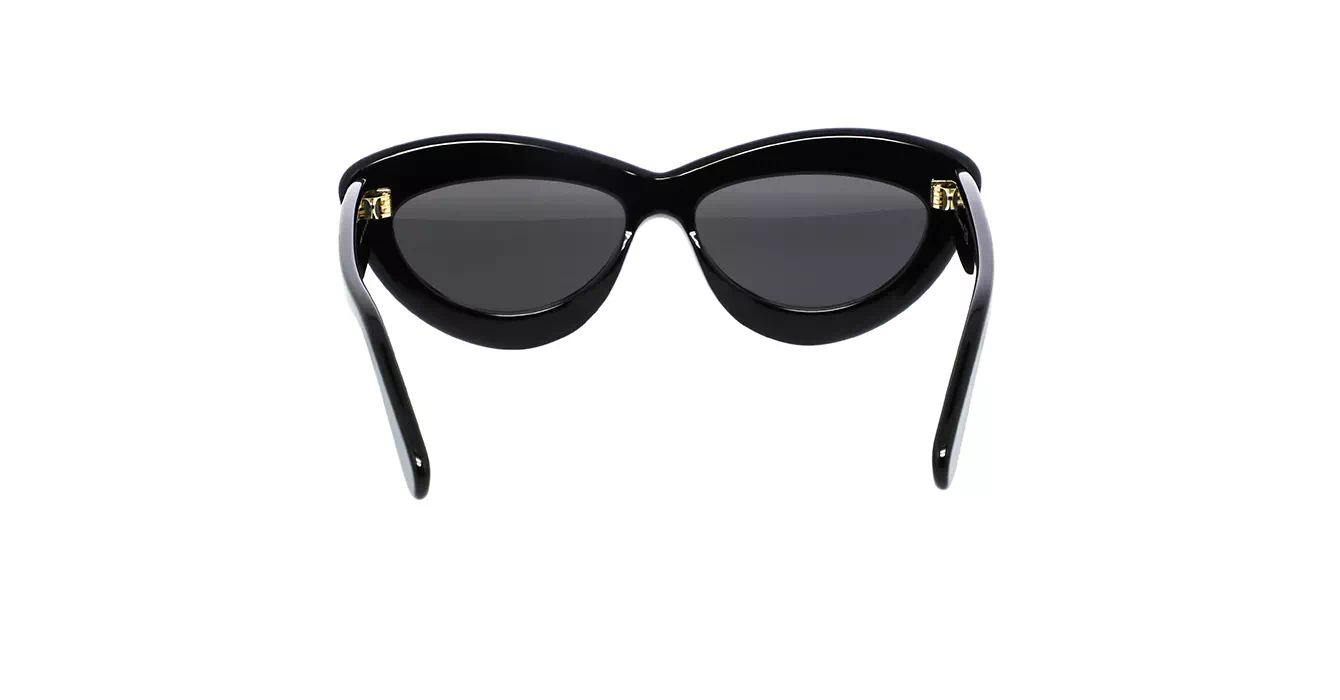 Loewe LW40096I 01A s54
