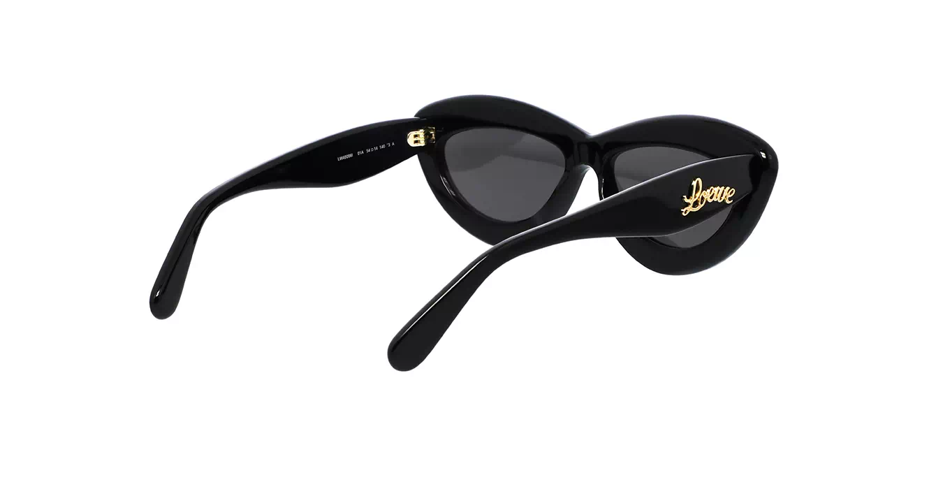 Loewe LW40096I 01A s54