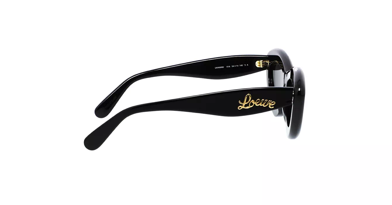 Loewe LW40096I 01A s54