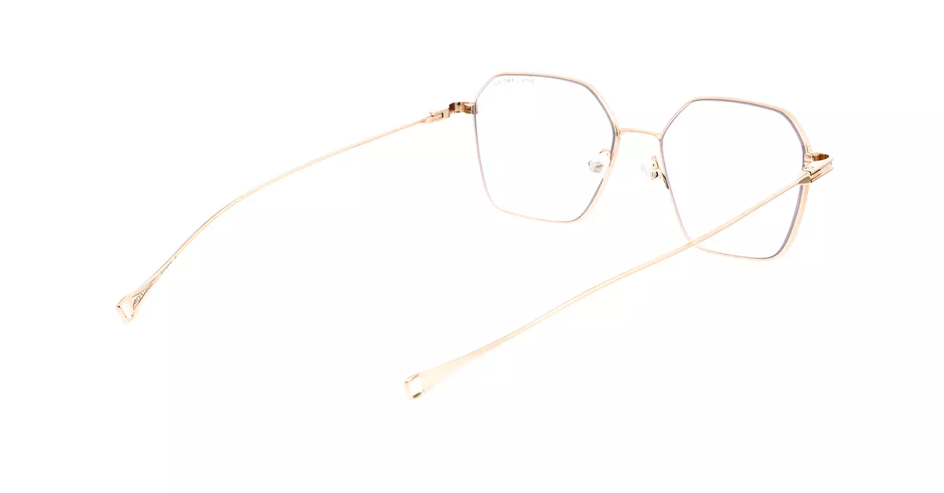 Dita DLX116-A 02 LANCIER s53