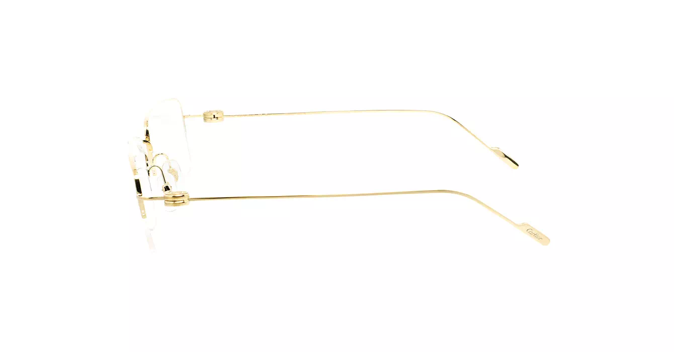 Cartier CT0380O 002 s54
