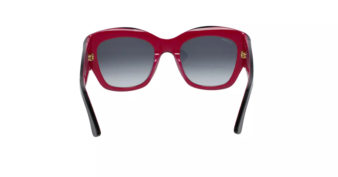 Cartier CT0304S 005 s52