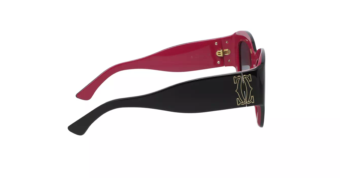 Cartier CT0304S 005 s52