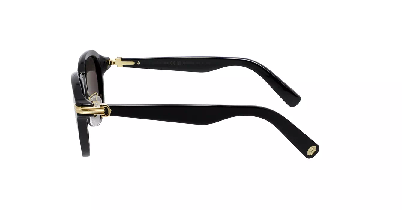 Cartier CT0395S 001 s53