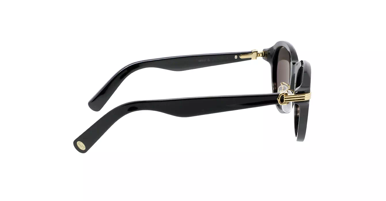 Cartier CT0395S 001 s53