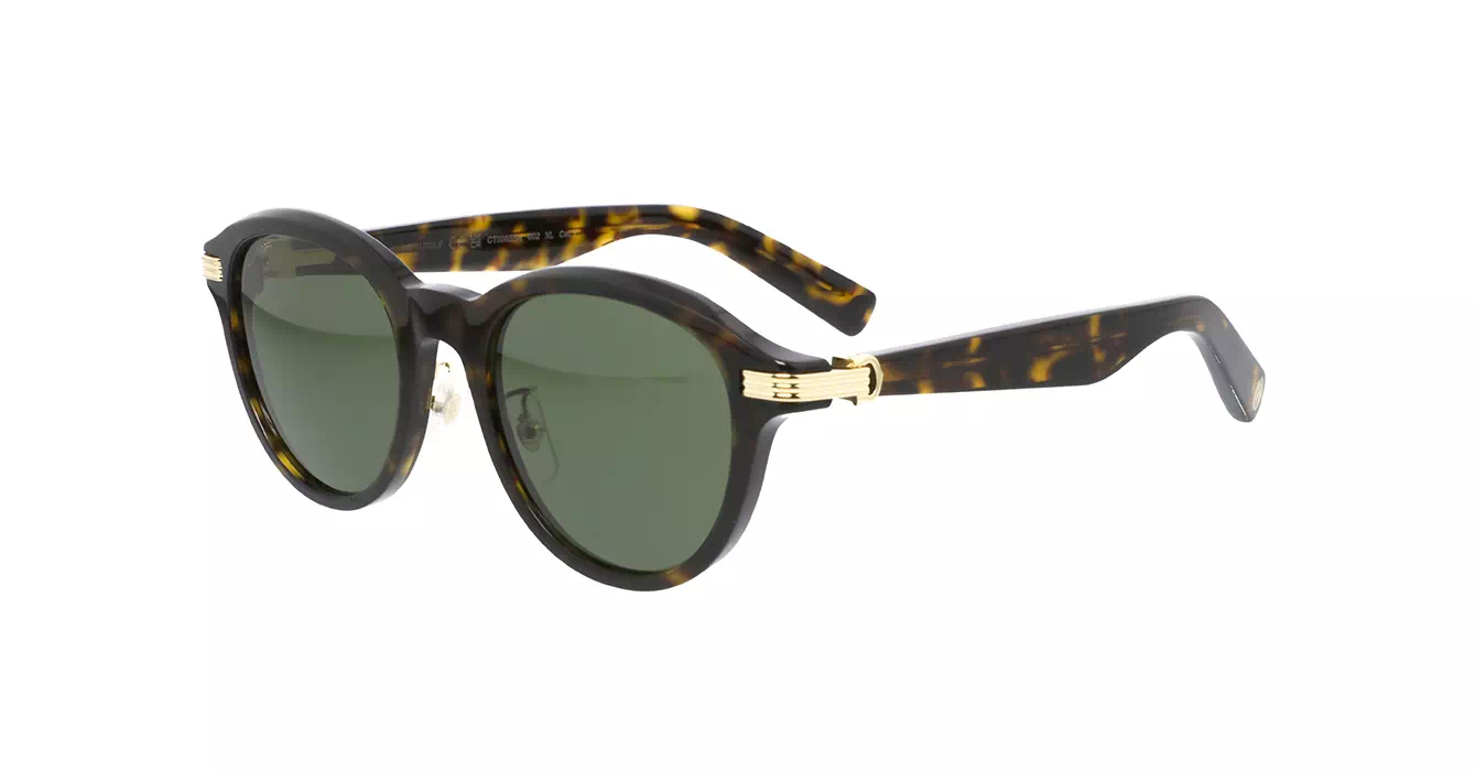 Cartier CT0395S 002 s53
