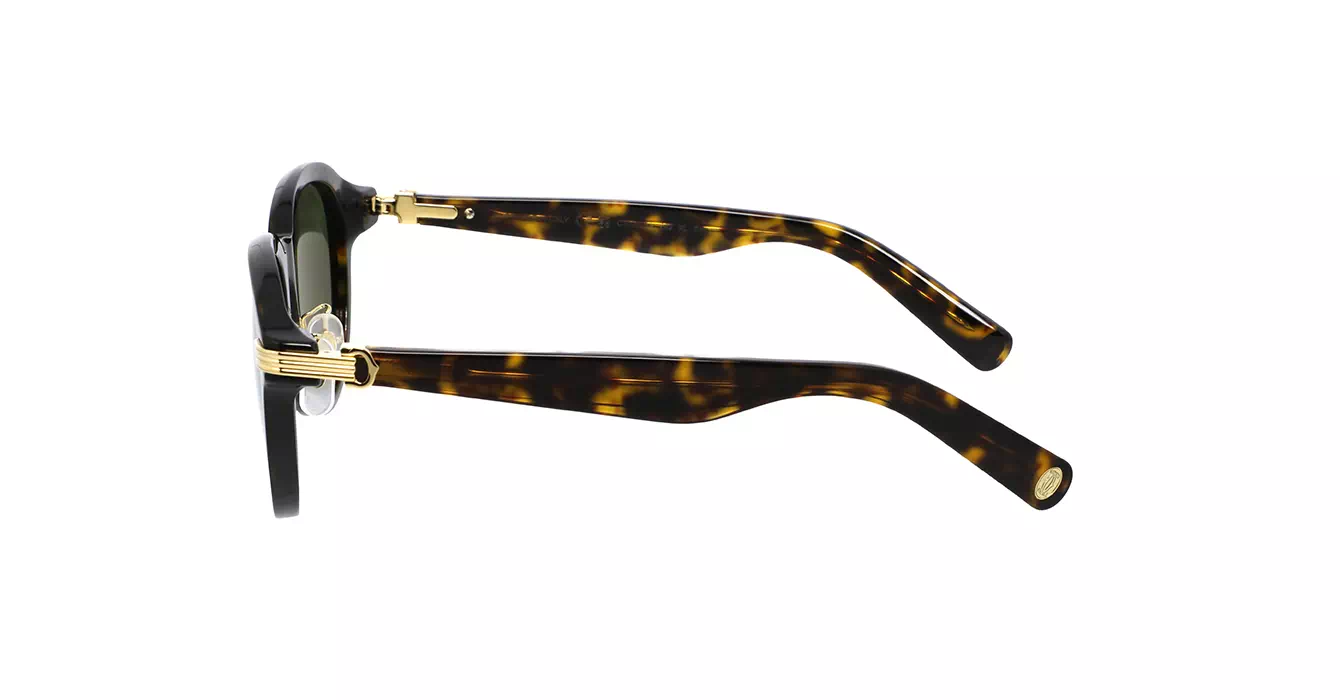 Cartier CT0395S 002 s53