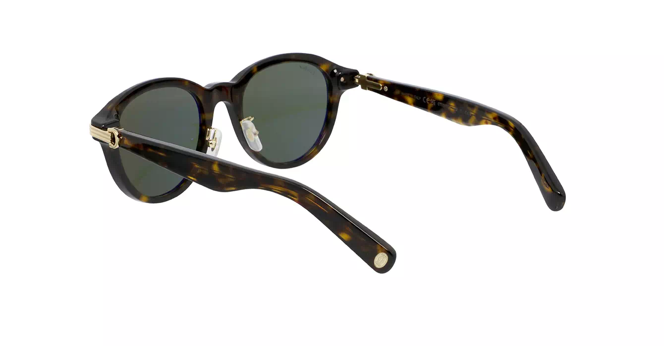 Cartier CT0395S 002 s53