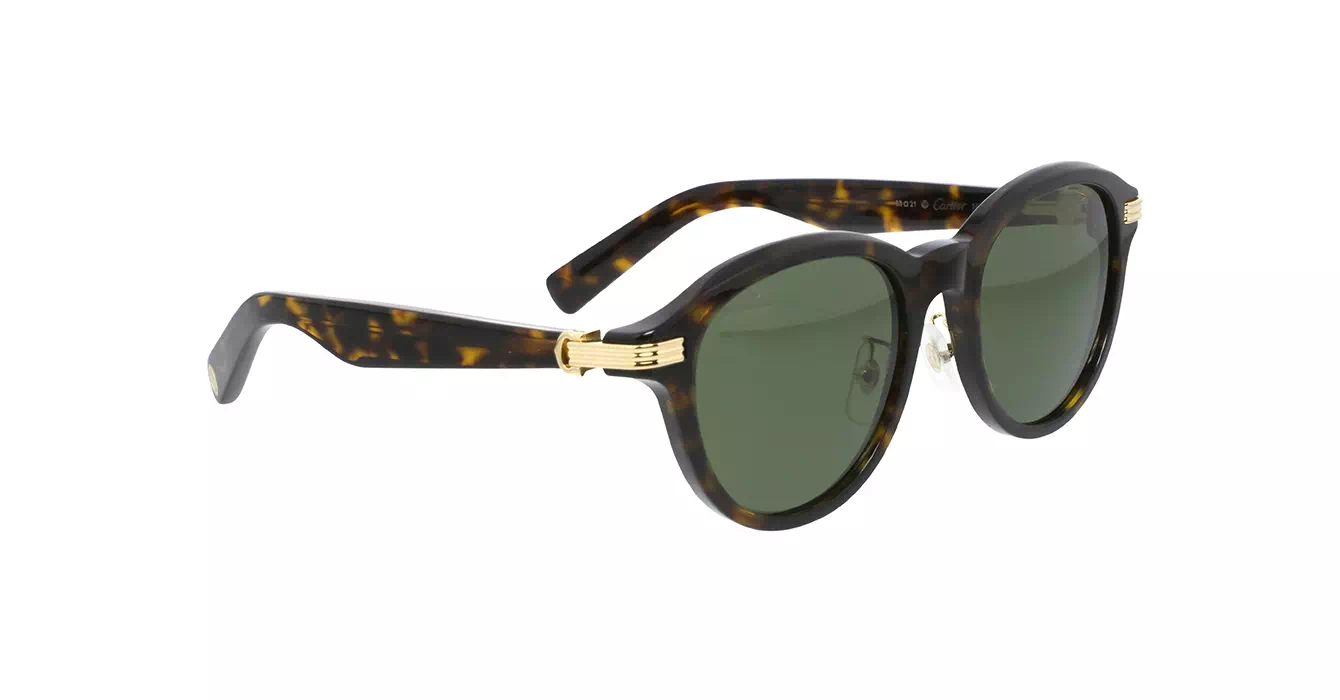 Cartier CT0395S 002 s53