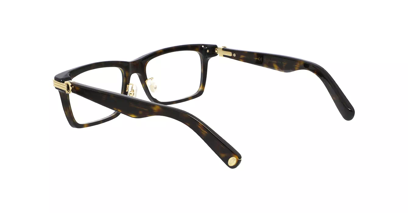 Cartier CT0420OA 002 s56