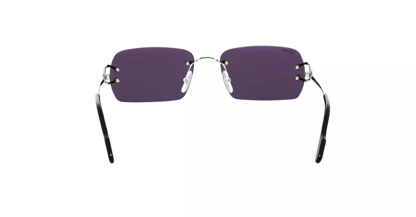 Cartier CT0003CS 052 s59