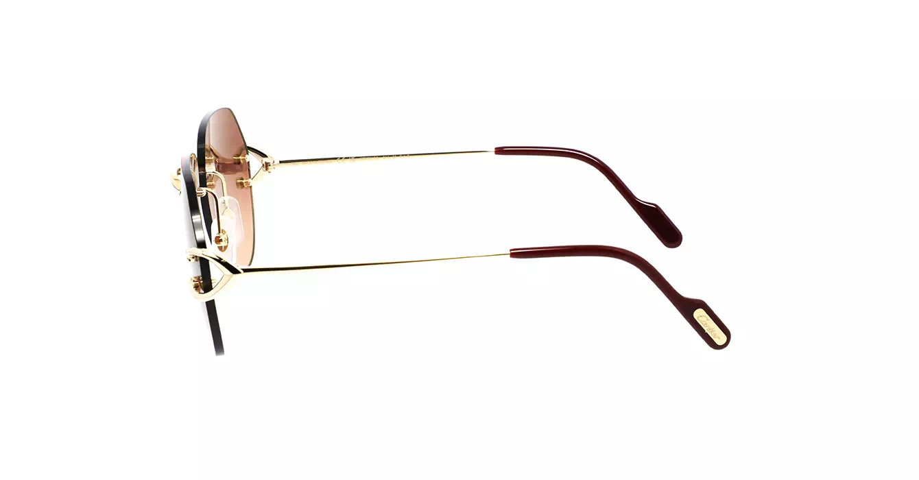 Cartier CT0001CS 014 s57