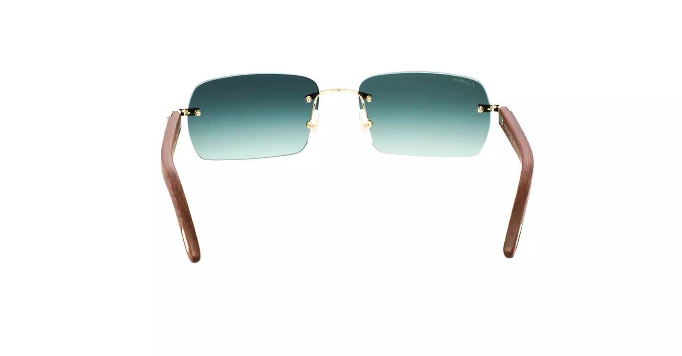 Cartier CT0009CS 007 s57