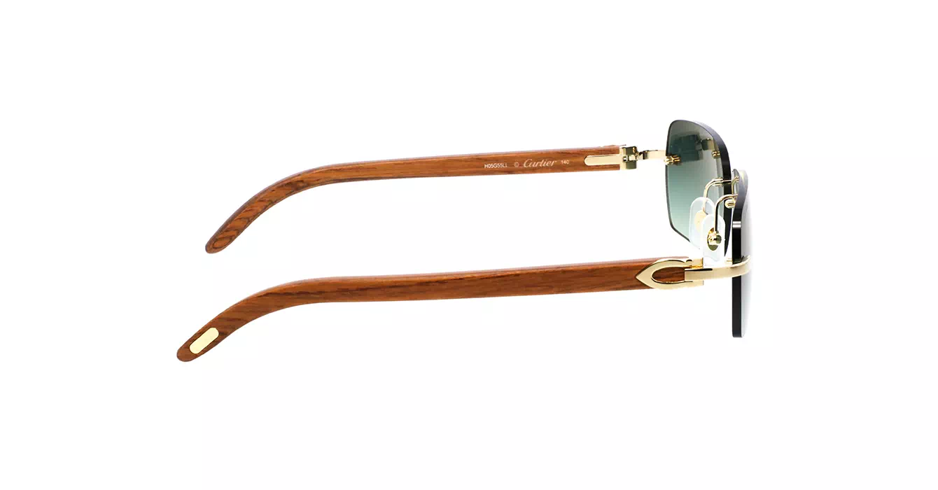 Cartier CT0009CS 007 s57