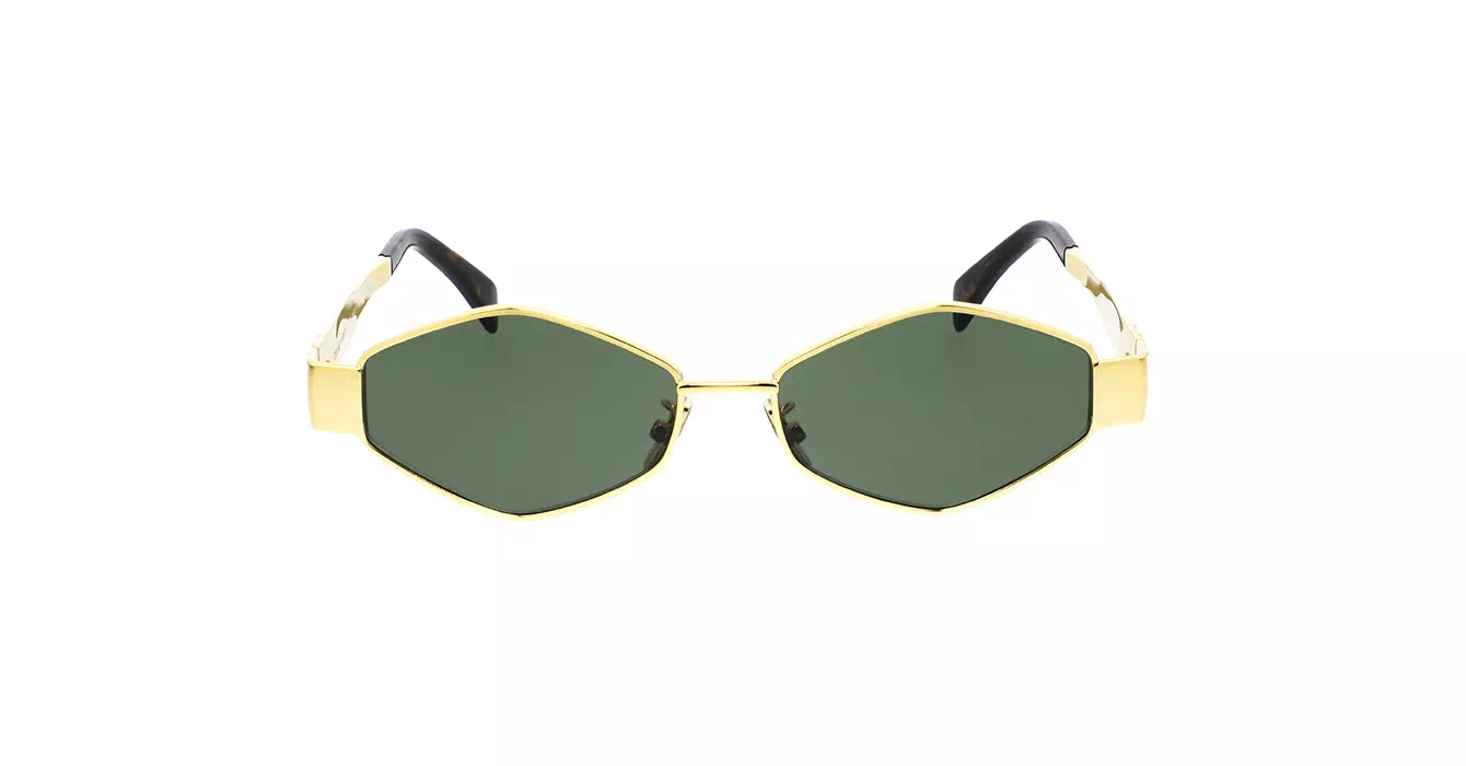 Celine CL40254U 30N s54
