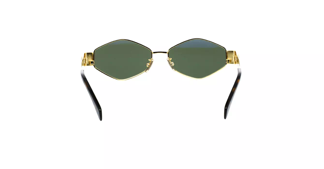 Celine CL40254U 30N s54