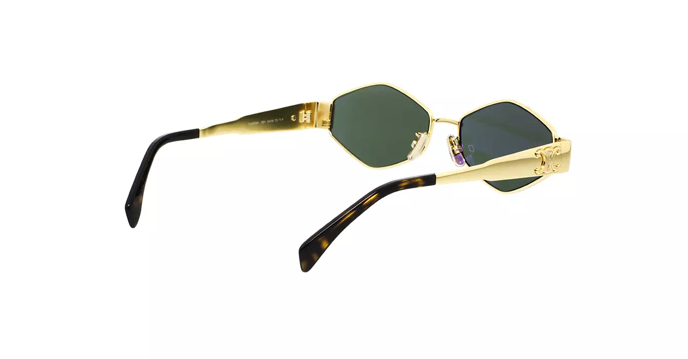Celine CL40254U 30N s54