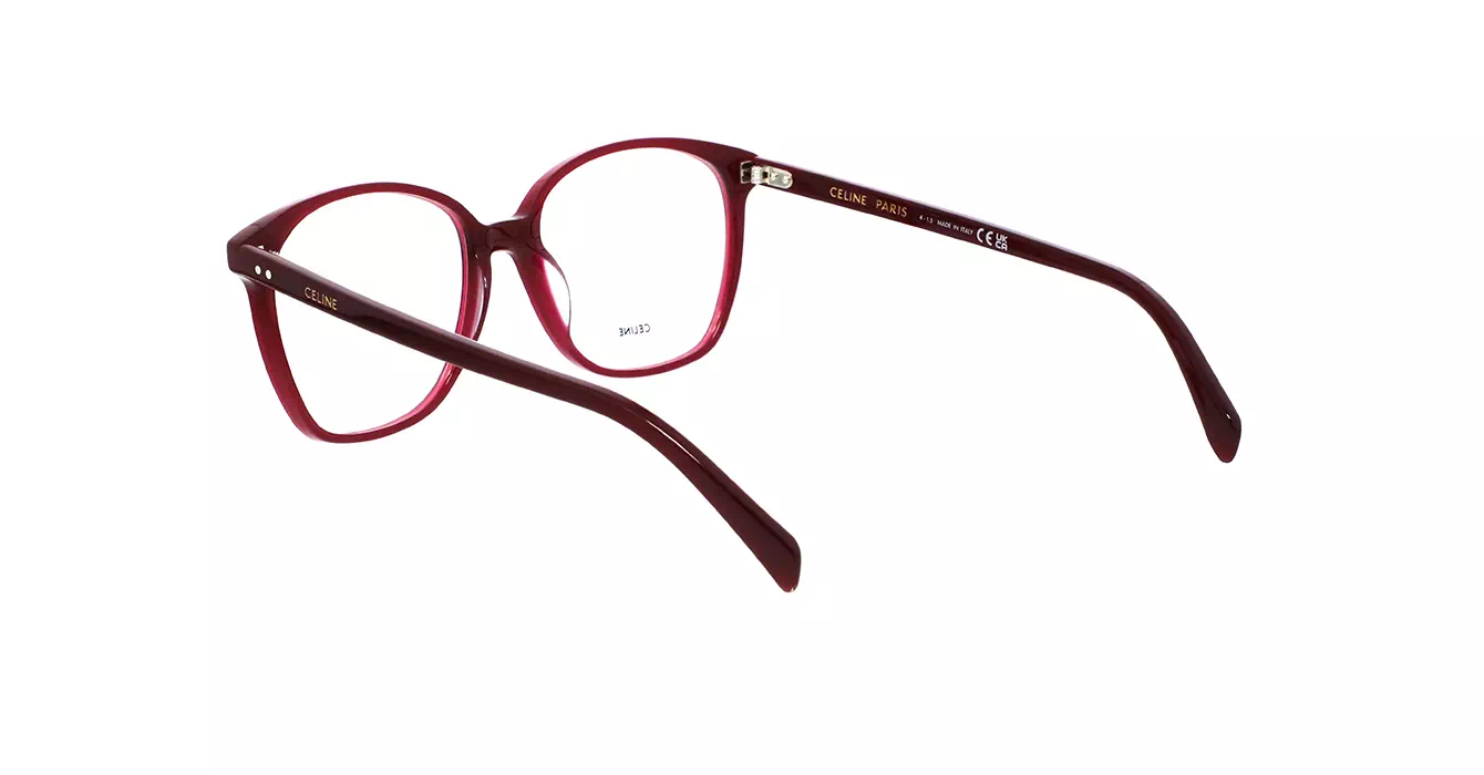 Celine CL50115I 069 s55