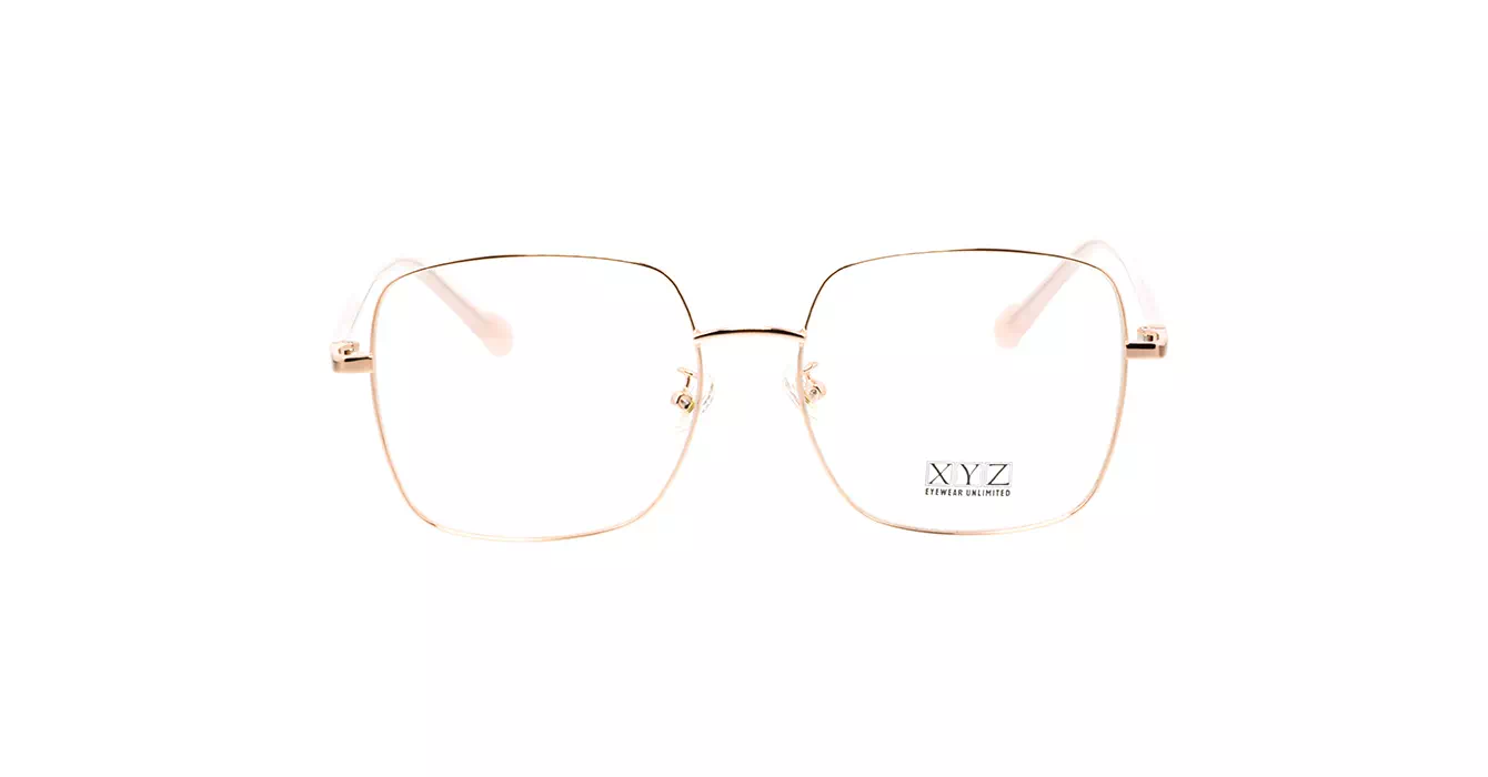 XYZ 1006 C2 s54