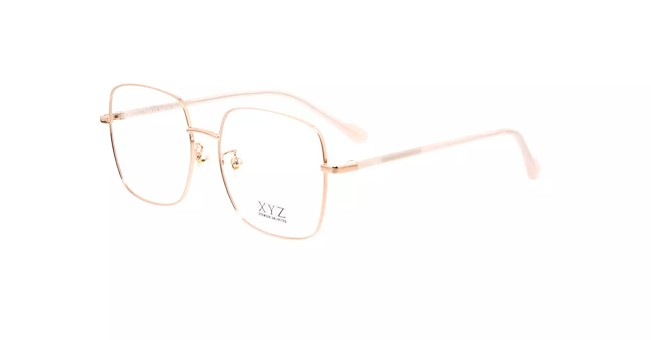 XYZ 1006 C2 s54