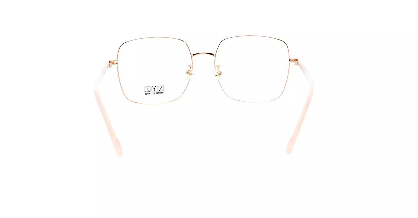 XYZ 1006 C2 s54
