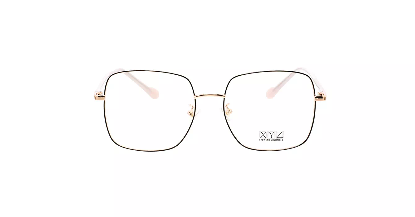XYZ 1006 C4 s54