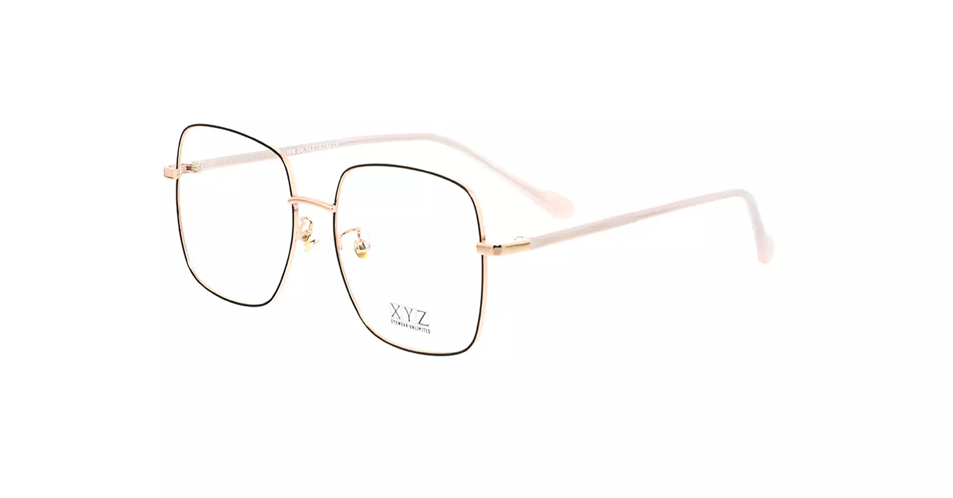 XYZ 1006 C4 s54
