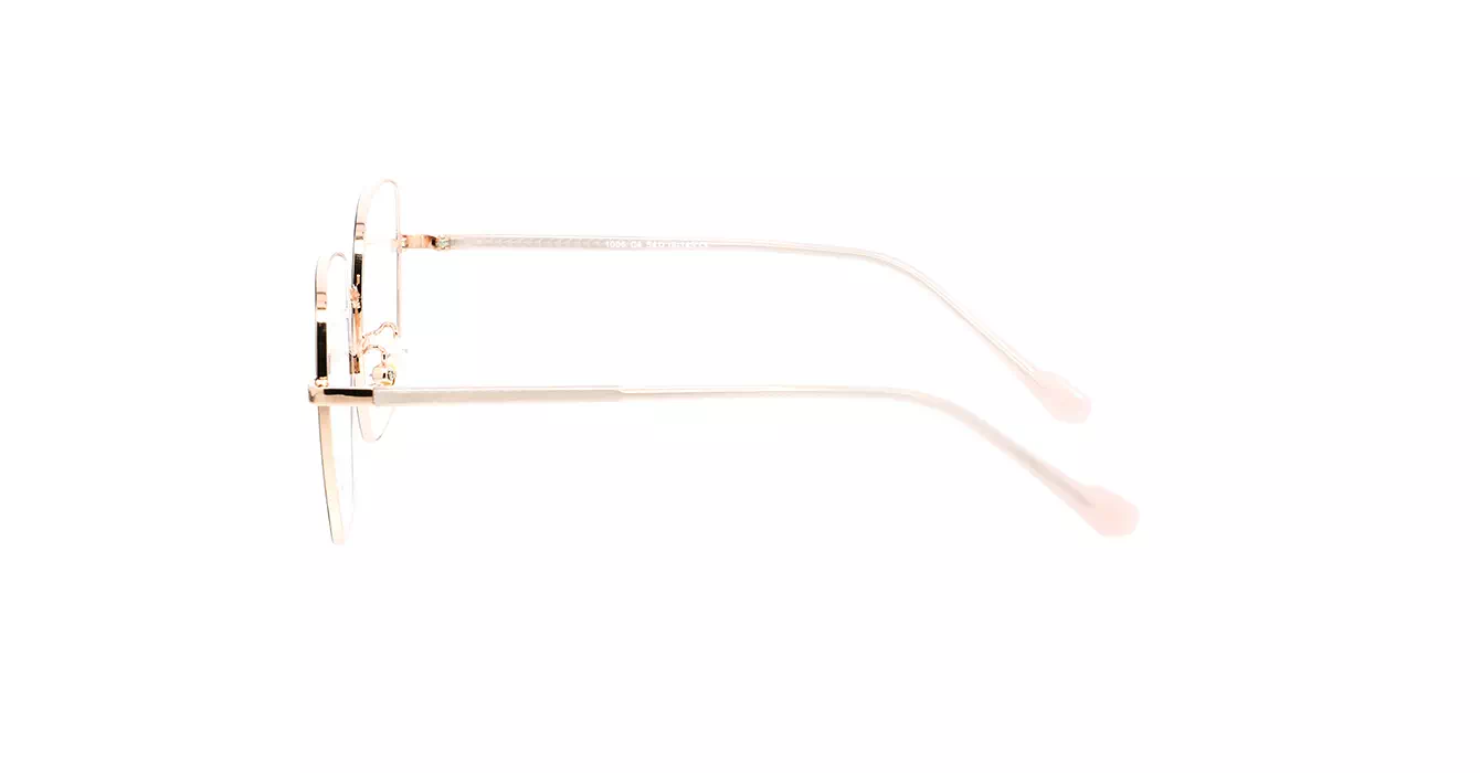 XYZ 1006 C4 s54