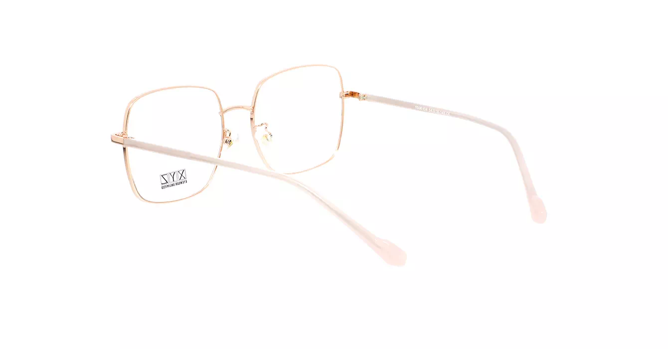 XYZ 1006 C4 s54