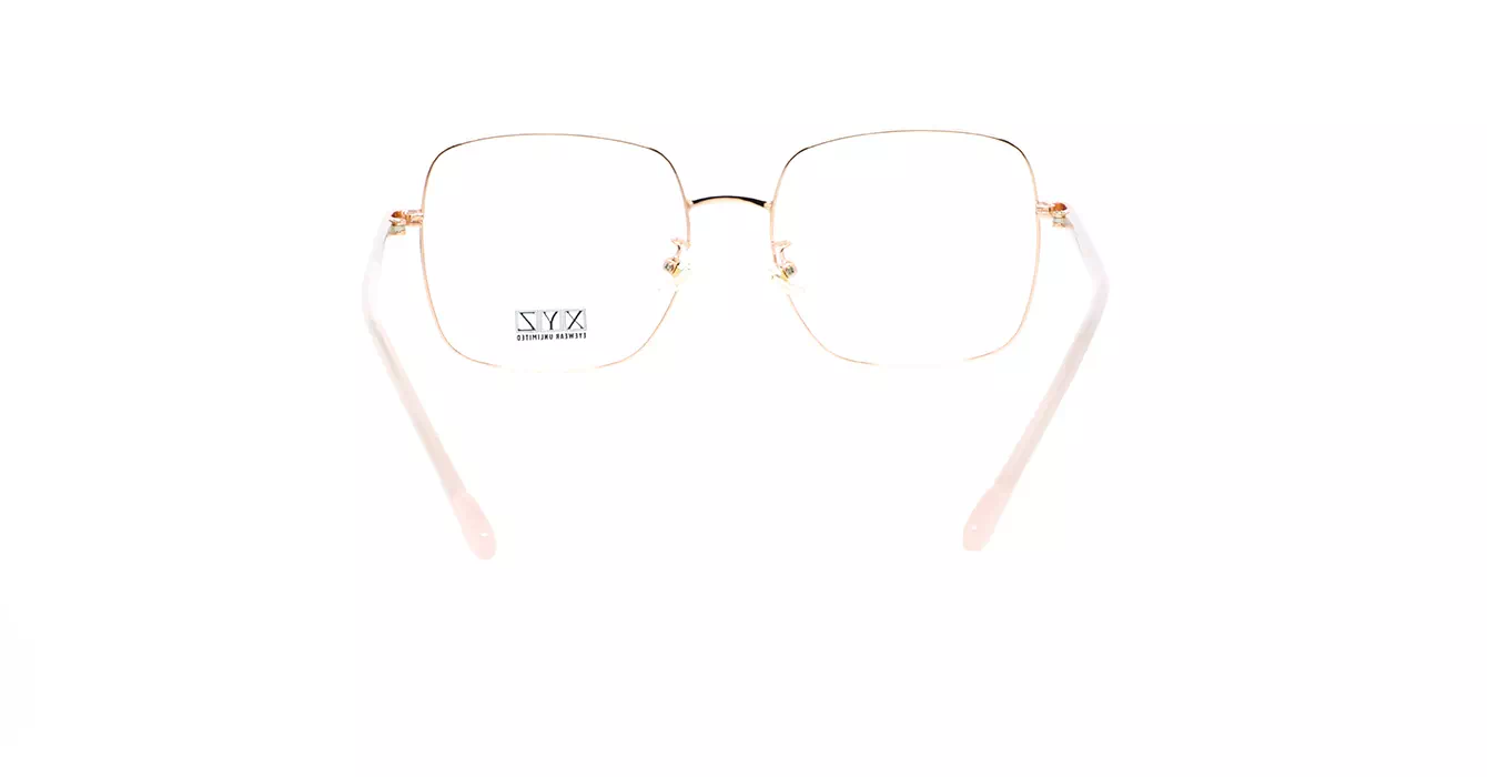 XYZ 1006 C4 s54