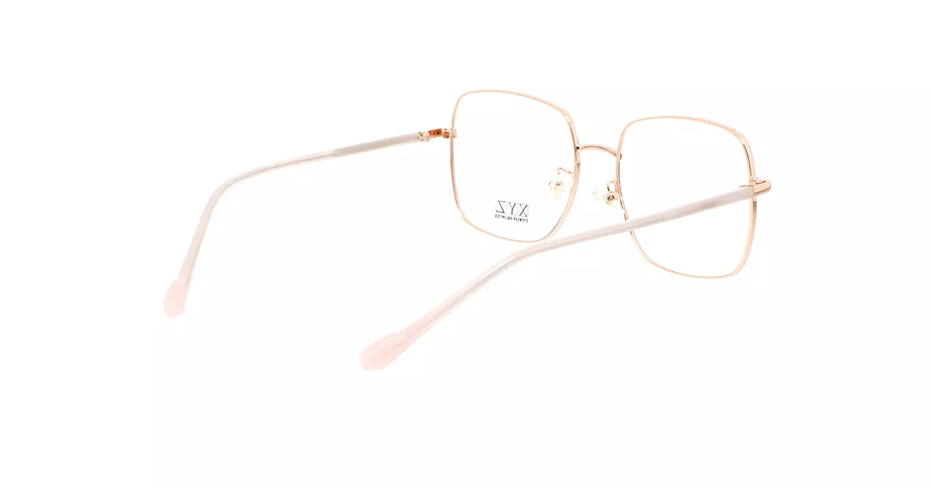 XYZ 1006 C4 s54