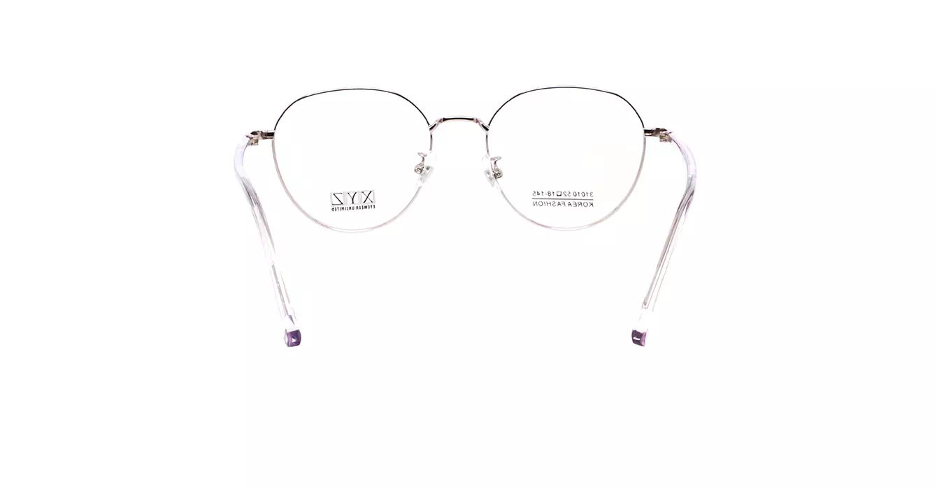 XYZ 31010 C2 s52