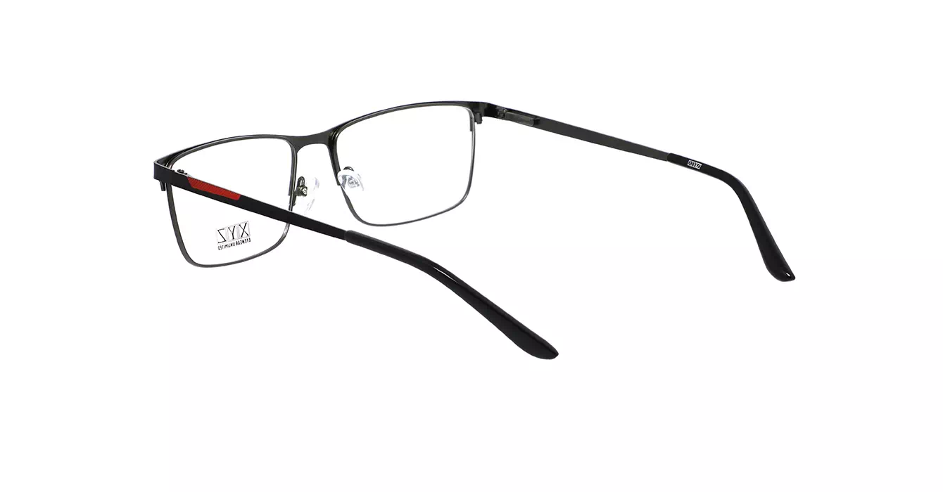 XYZ 1004 C6 s55